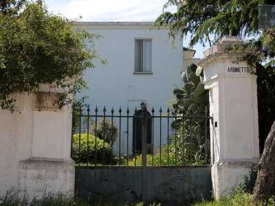 Ci avviciniamo e con nostra grande sorpresa troviamo due edifici celati da una fitta selva di ulivi. Il primo, bianco e decisamente pi� moderno, � recintato da alte mura e un cancello in ferro battuto contenuto da due colonne squadrate su piedistallo